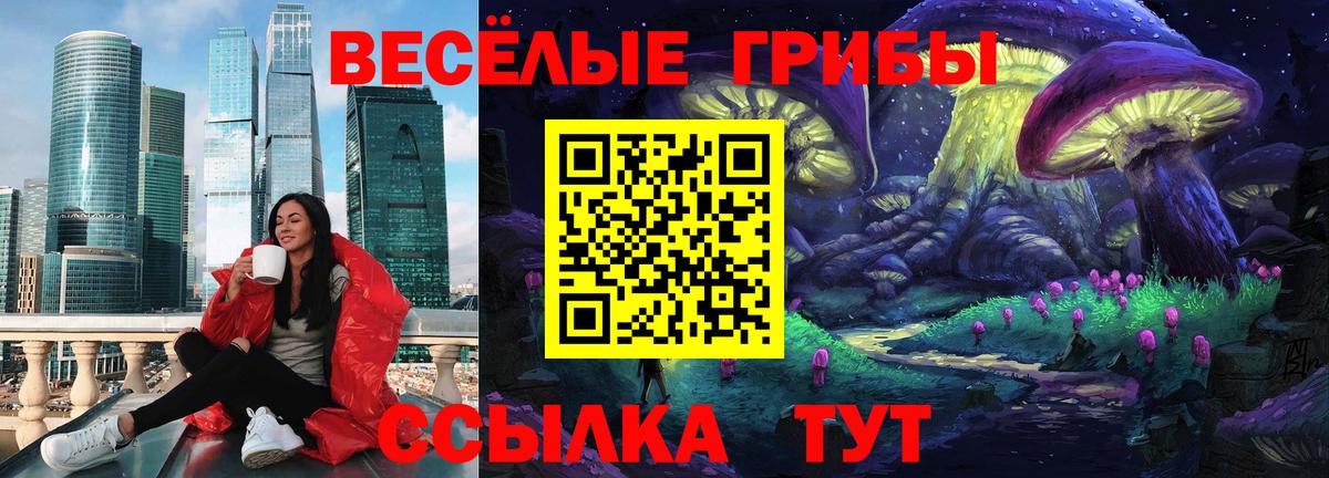 Псилоцибиновые грибы ЛСД Советский
